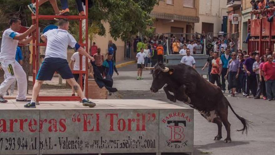 Los jóvenes garantizan la continuidad de los festejos taurinos populares