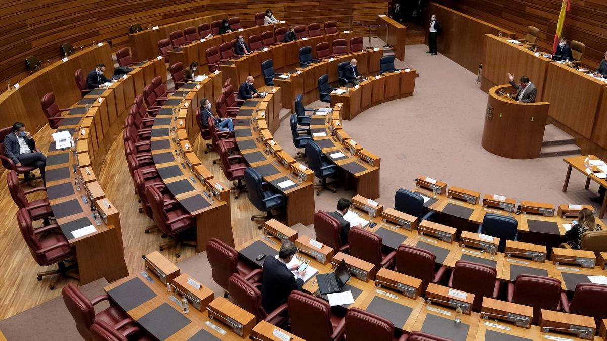 Pleno en las Cortes de Castilla y León.