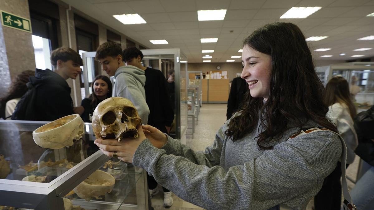 Alumnos de dos institutos asturianos visitan el Museo Anatómico de Medicina