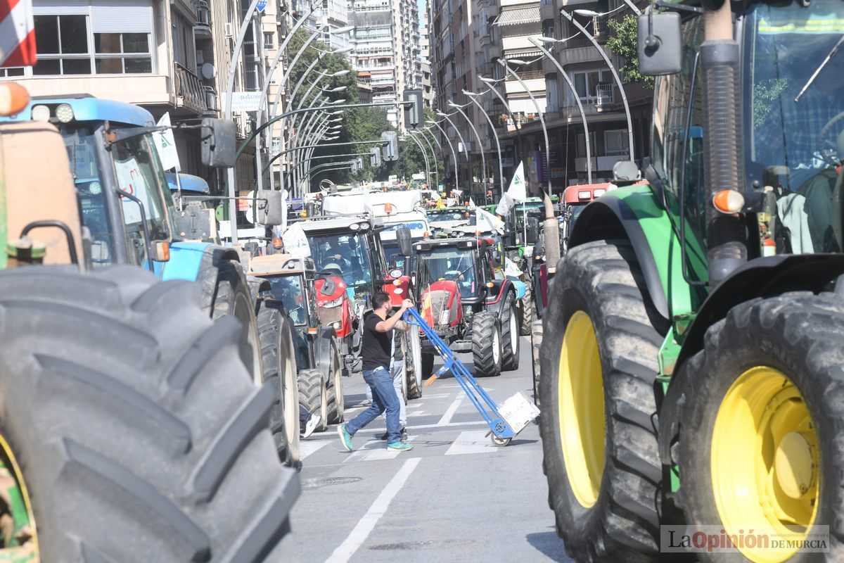 Miles de agricultores y ganaderos toman las calles de Murcia