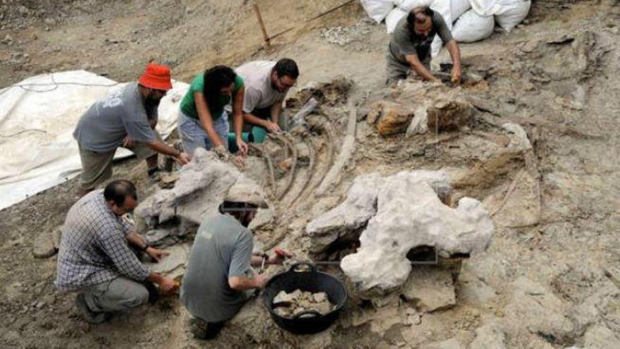 Tras las huellas de los dinosaurios en la Comunidad Valenciana