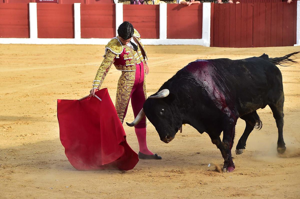 Fotogalería | Las imágenes de la corrida grande de la feria de Plasencia