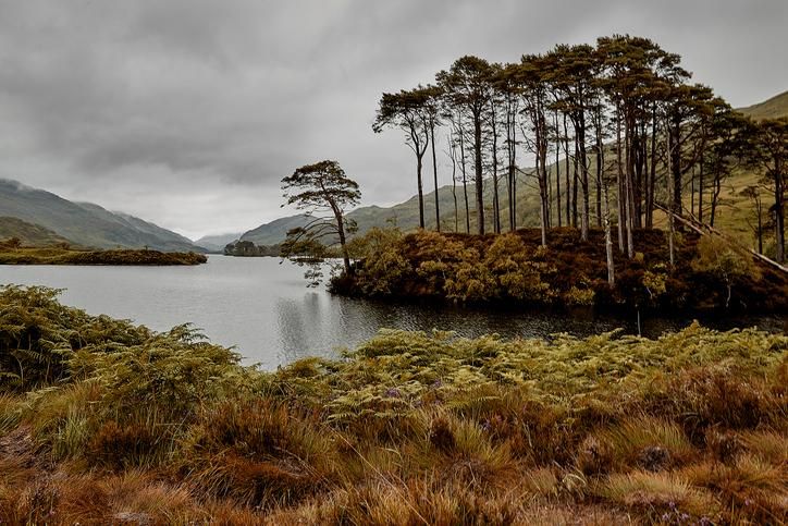 Eilean na Moine significa en gaélico isla del pantano.