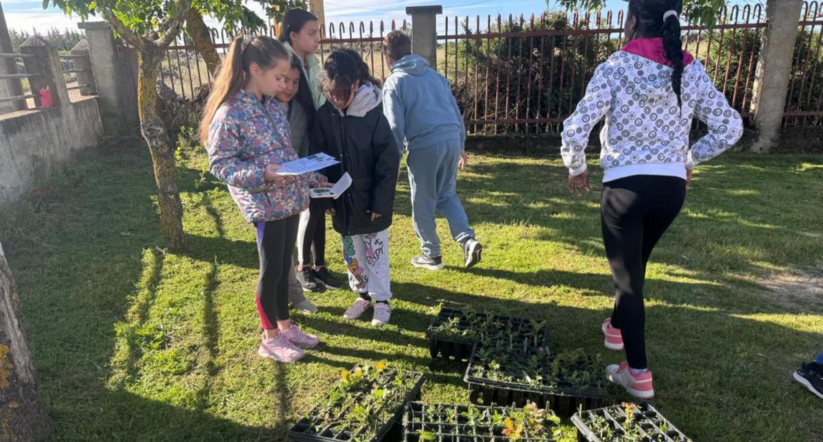 Un momento de la plantación en el patio del colegio. | cedida