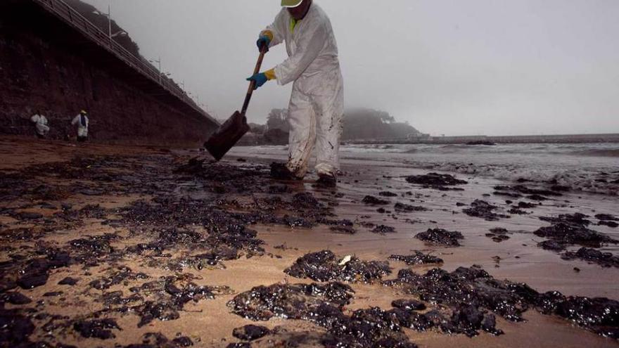 Un voluntario limpiando en 2012 la playa de Palmera.