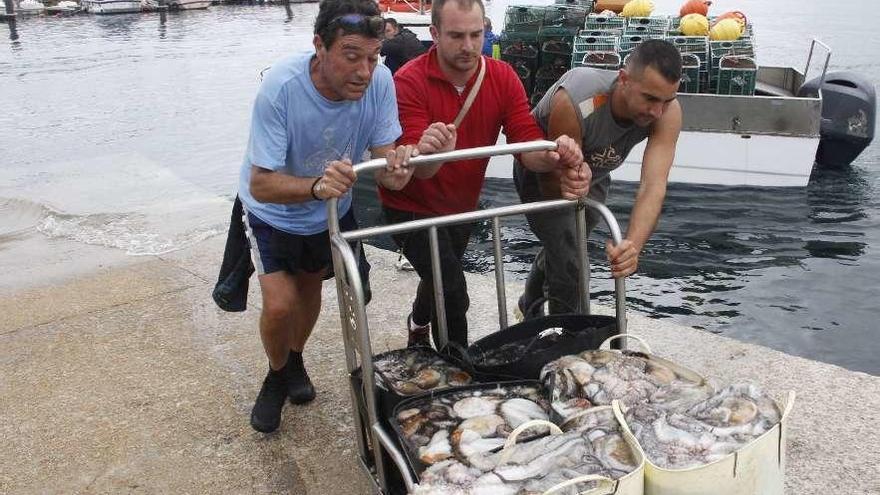 Un grupo de pescadores descargan pulpo en un puerto gallego.
