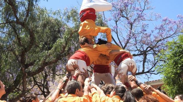 La història d'una muixeranguera anglesa