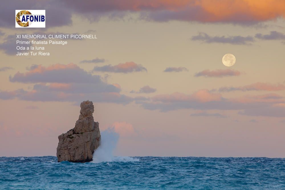 Fotografía de naturaleza de Balears