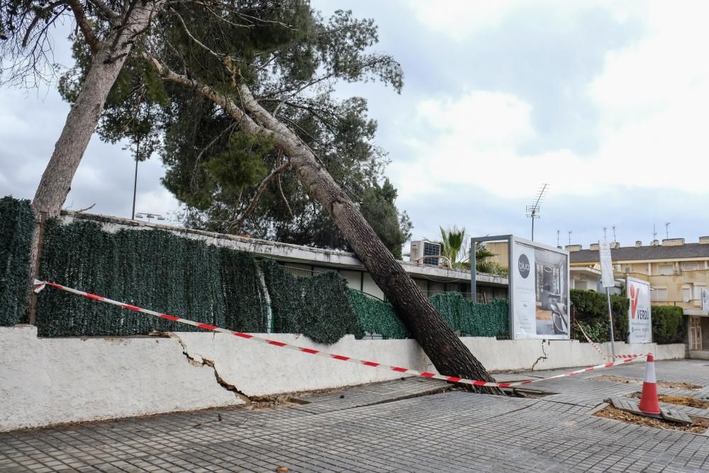 Consecuencias de la lluvia en Elda