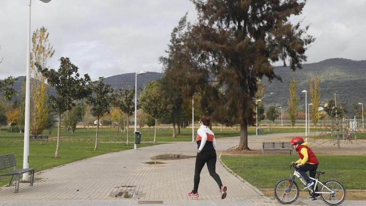 Zona verde de Camino de Turruñuelos donde se había proyectado, soterrada, la primera central de recogida neumática de basura.