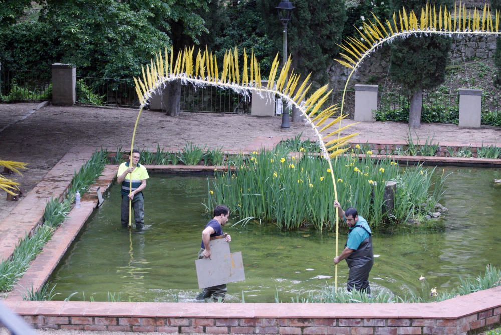 Preparatius de Temps de Flors