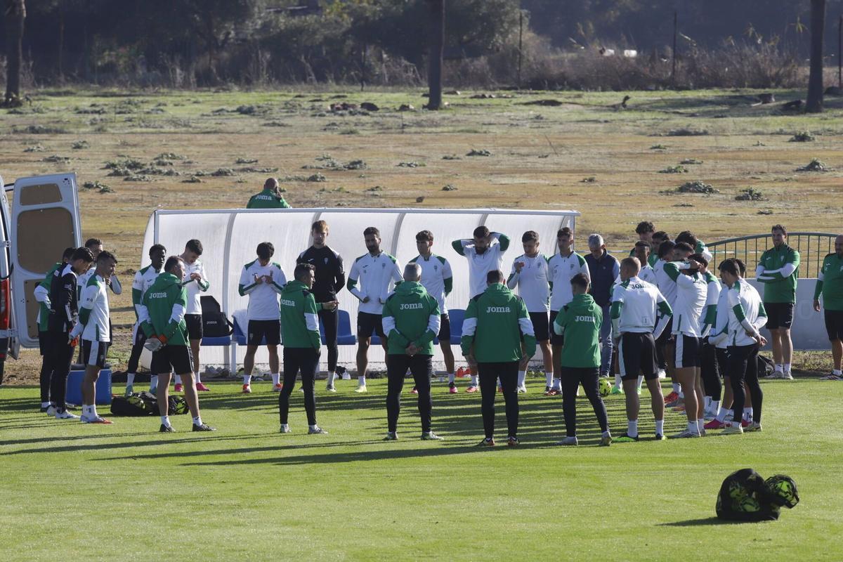 Un corrillo de instruciones dirigido por Iván Ania en uno de los entrenamientos del Córdoba CF de esta semana.