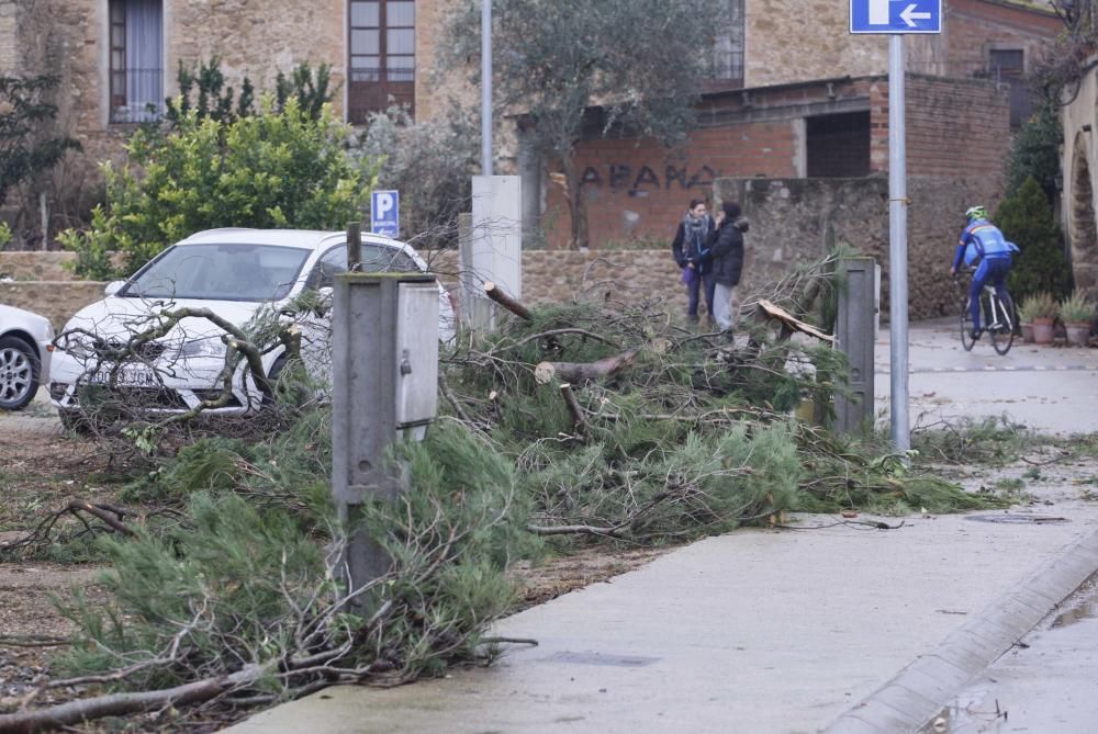 Un tornado deixa danys en cases, naus i vehicles a Cistella