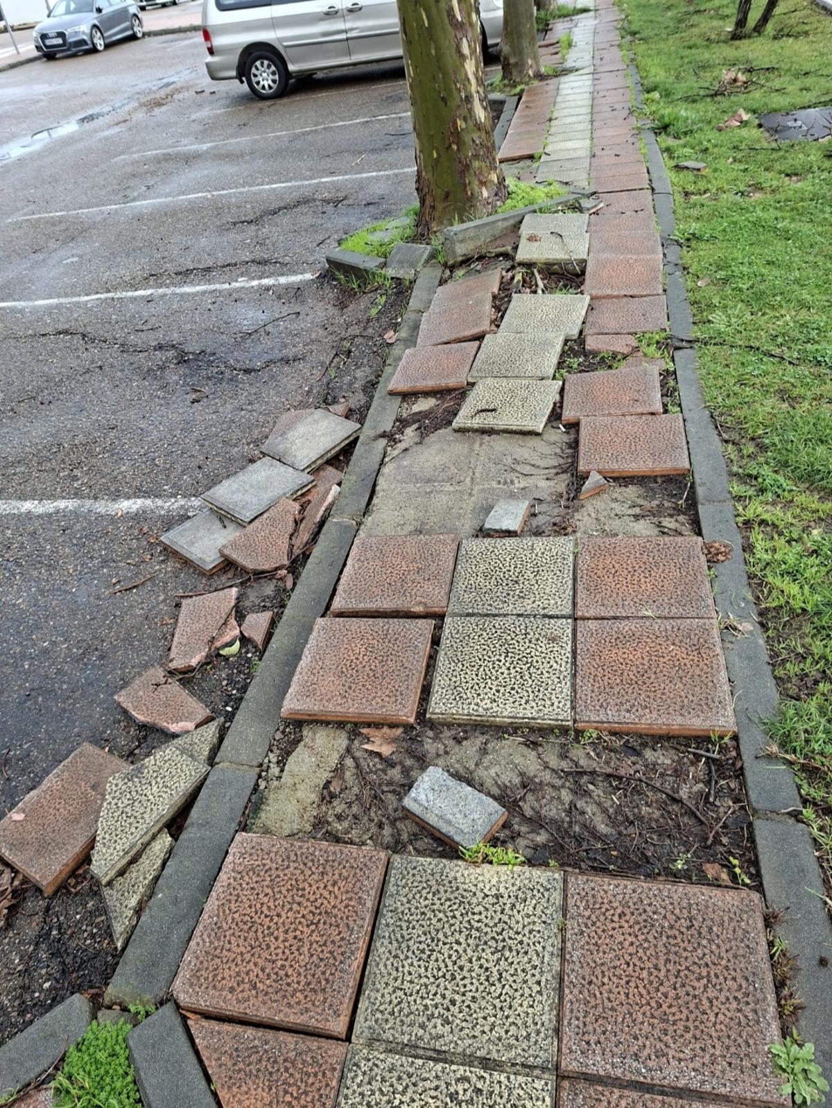 Estado de la calzada en una calle de la Urbanización Guardiana