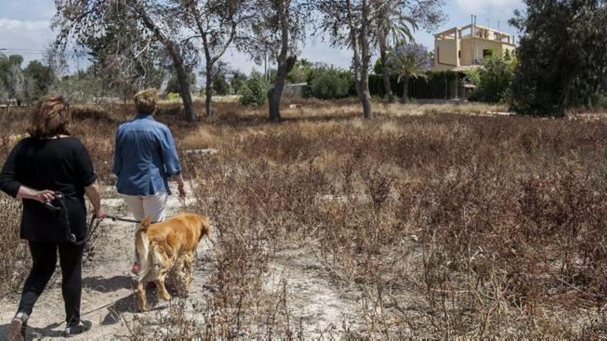 Un pareja pasea por una zona afectada por la sequía en Mutxamel, municipio del interior de l´Alacantí donde más se sufre la falta de lluvias.