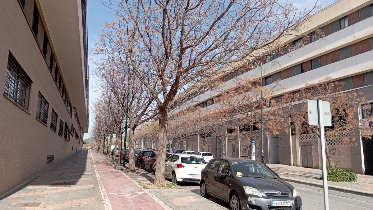 Locales vacíos, el paisaje típico de Soliva.