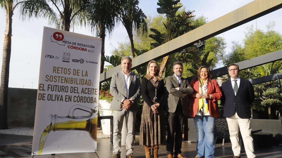 Retos de la sostenibilidad: El futuro del aceite de oliva en Córdoba
