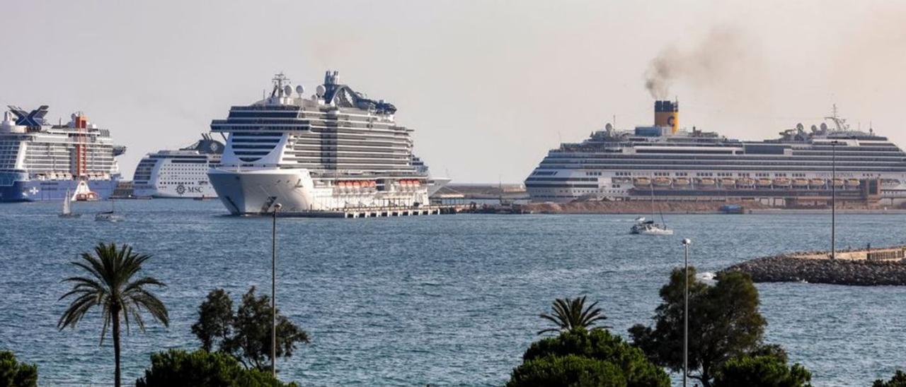 Megacruceros atracados en el puerto de Palma en 2019.