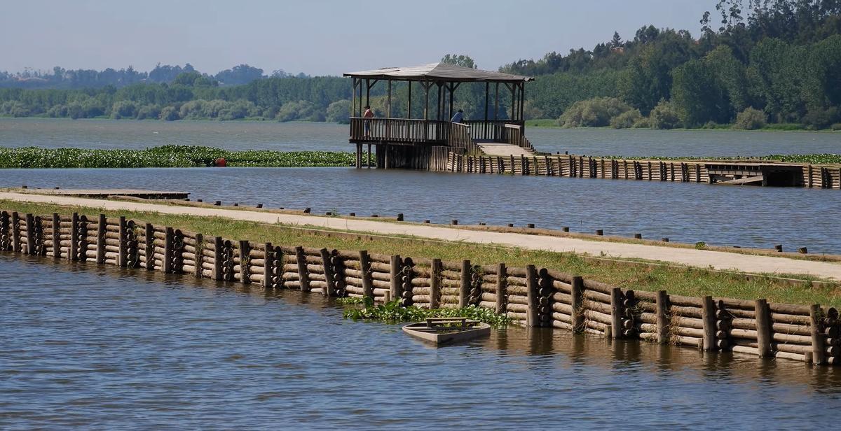 Pateira de Fermentelos, la laguna «dormida» de Portugal
