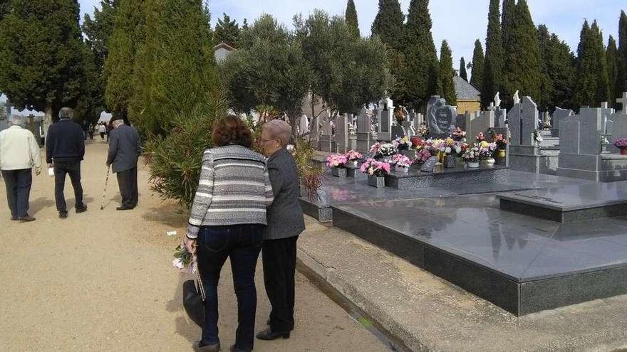 Ciudadanos recorren los cuarteles del cementerio de Toro para visitar las sepulturas de sus familiares.