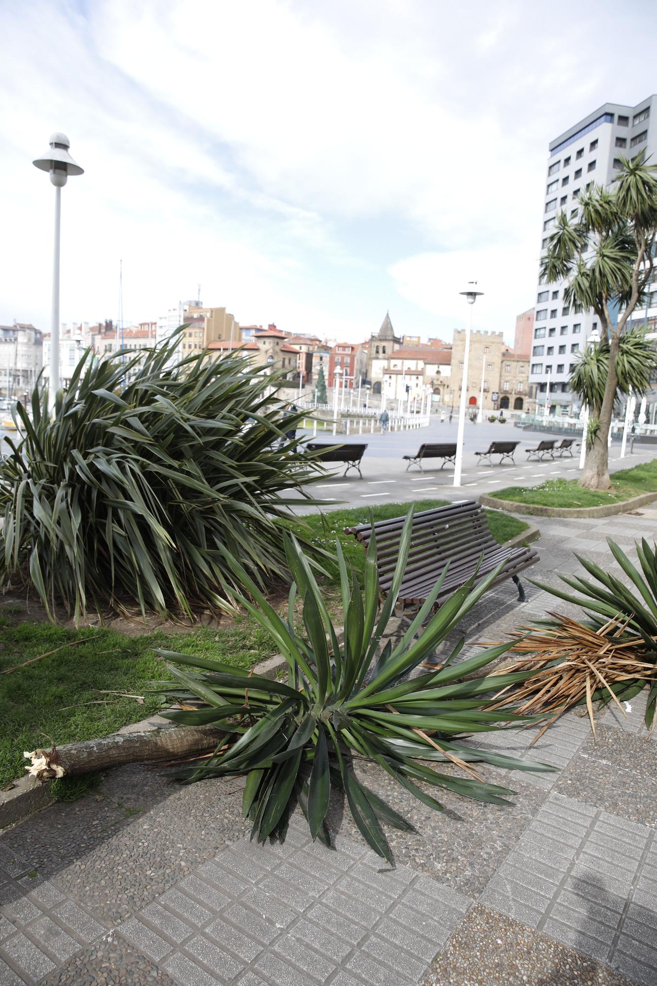 Viento en Gijón