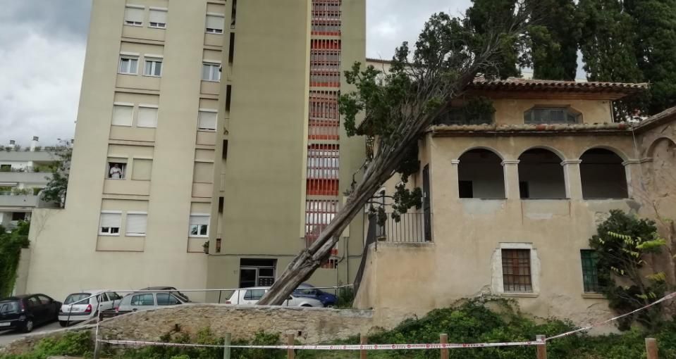 Un arbre cau sobre un edifici del barri de Vista Alegre a Girona