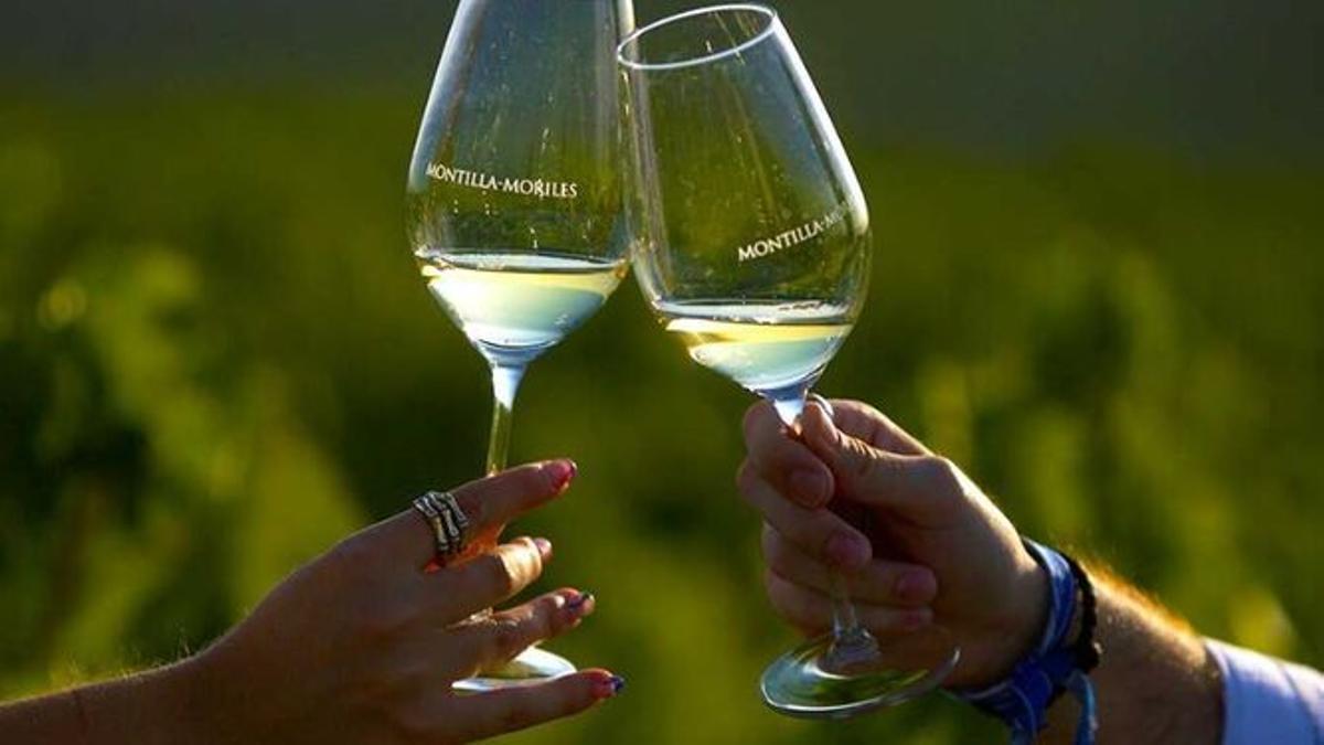 Aranceles al vino: un análisis de precios