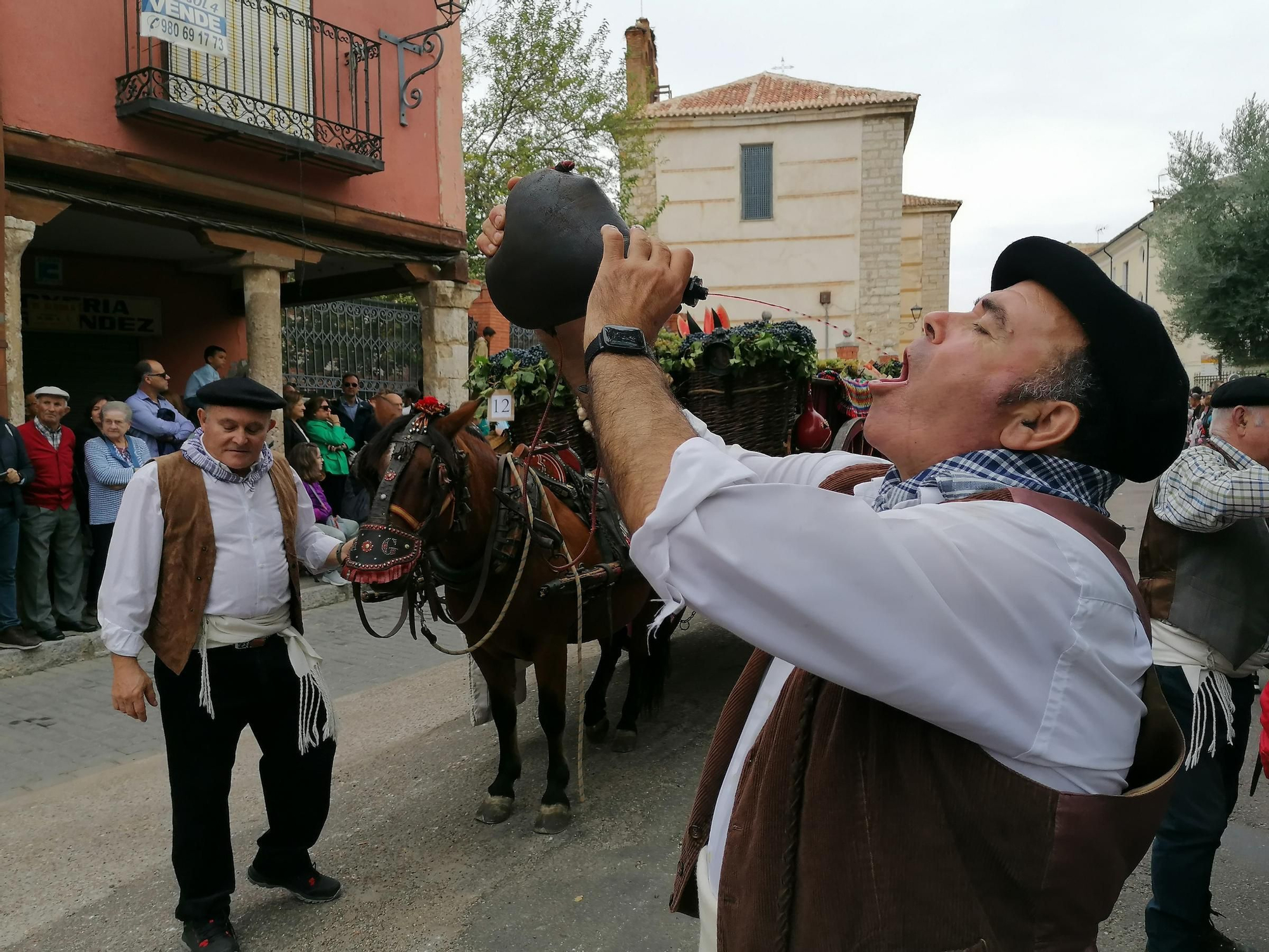 GALERÍA | Toro recrea la vendimia tradicional en el desfile de carros