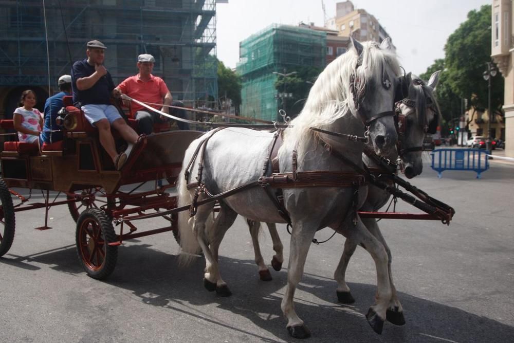 Día del caballo en la Feria de Murcia 2018