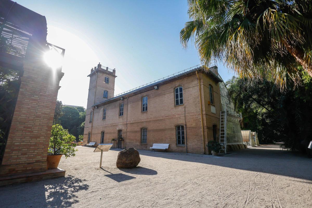 El Jardín Botánico de València está de moda