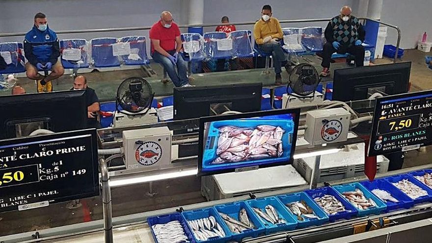 La pandemia obliga a las cofradía a cambiar los hábitos de pesca