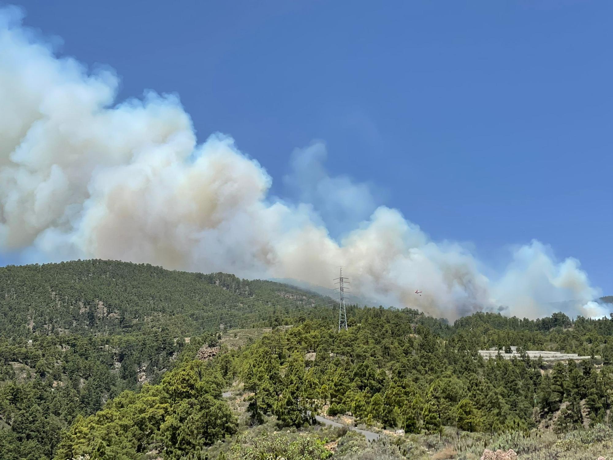 Incendio forestal en Tenerife (20/05/21)