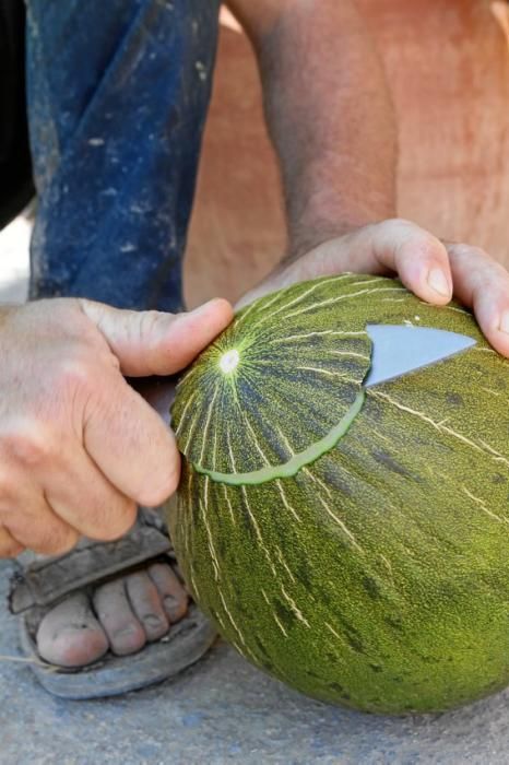 Nur auf guten Böden können gesunde Pflanzen wachsen und süße Melonen reifen. Ein Besuch zur Erntezeit auf Sa Teulera, einem Biohof bei Petra.