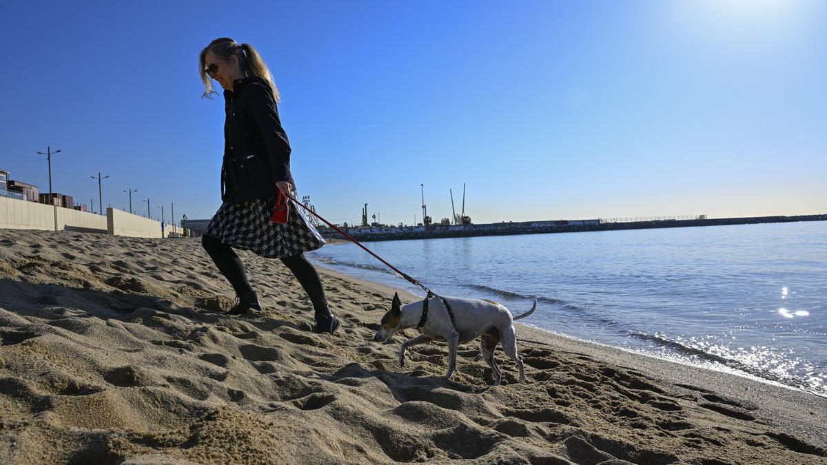 Playa bcn2