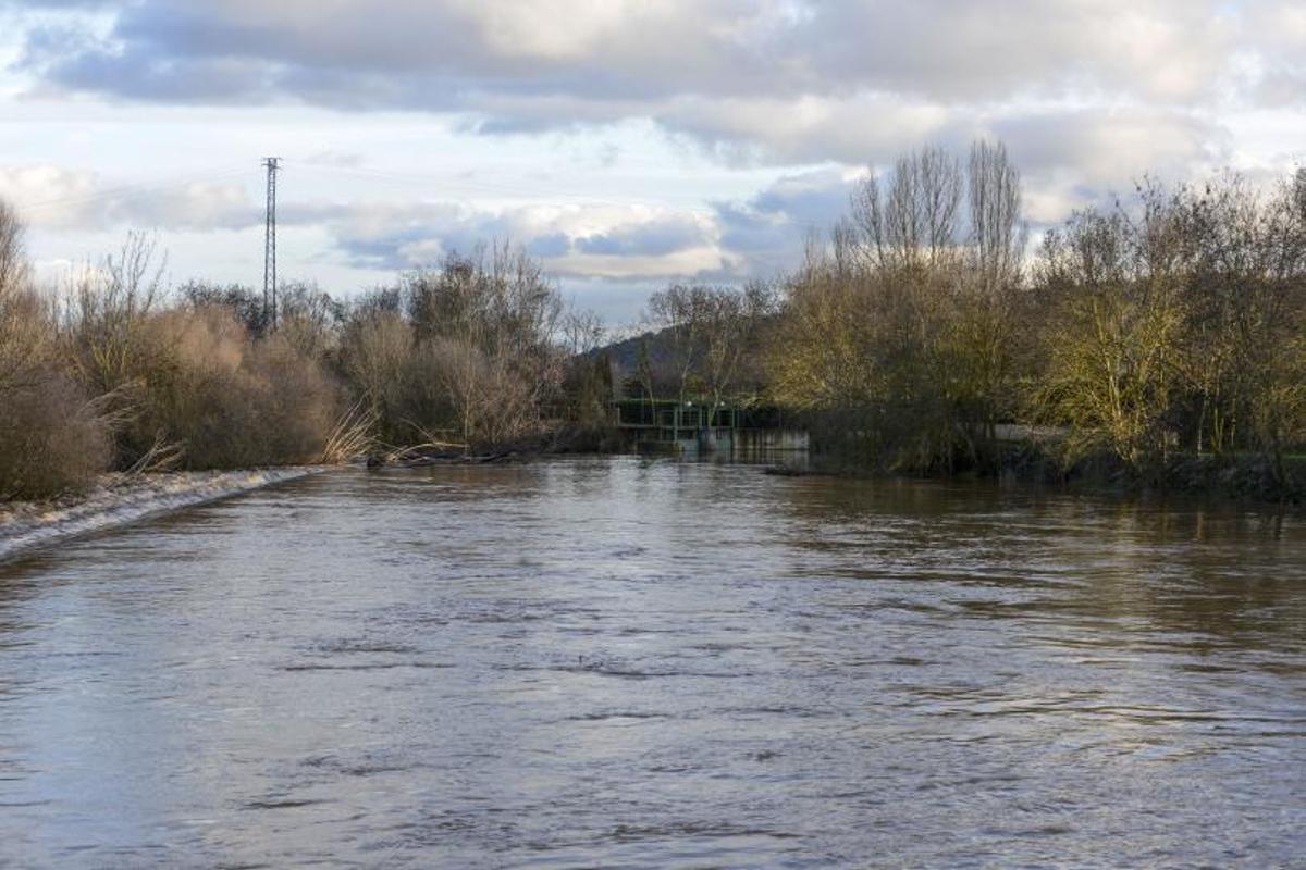 El río Eria a su paso por Morales del Rey hace unas semanas. | J. A. G.