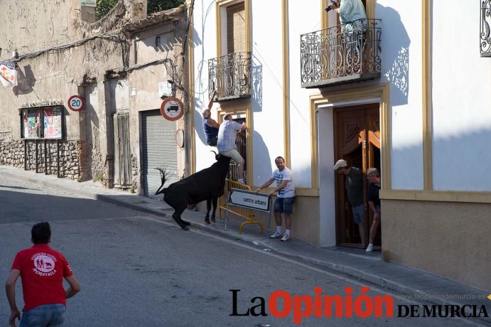 Cuarto encierro Fiestas de Moratalla