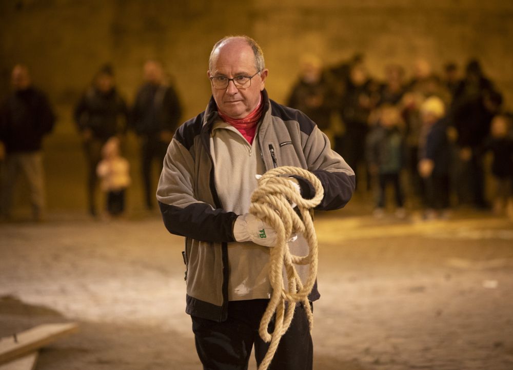 Sant Antoni arranca en Sagunt con la tradicional Plantà del Pi