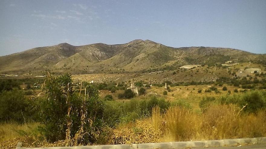 Terrenos de Rojas-Santa Tecla, esta semana.