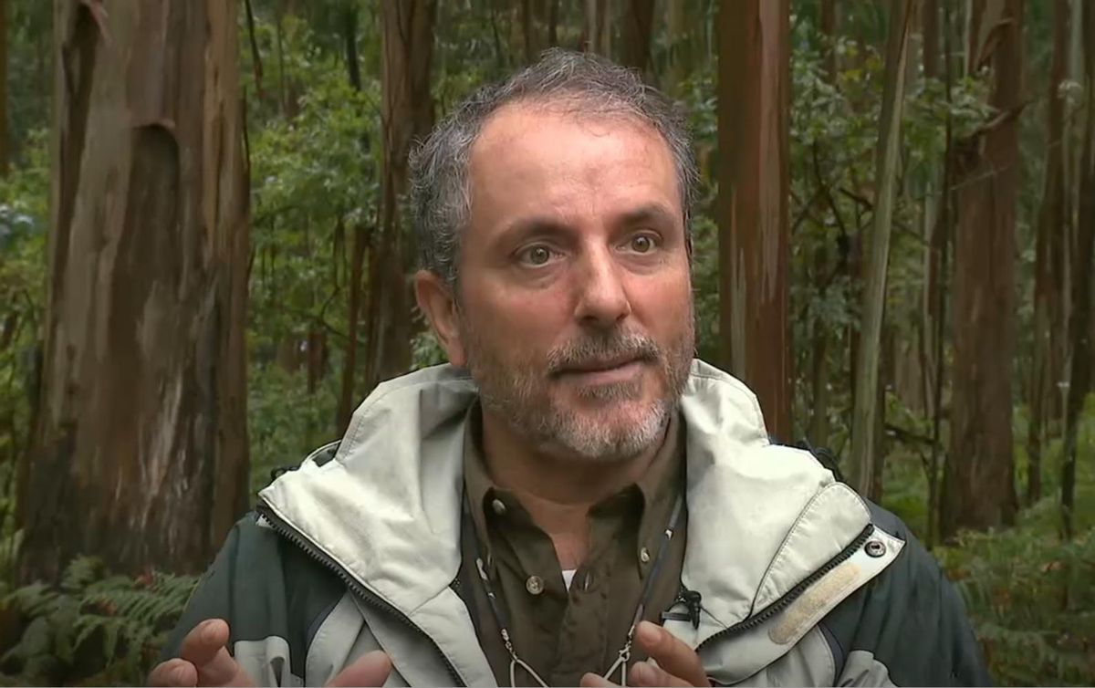 El profesor Salvador Rebollo, ornitólgo, en los bosques gallegos.