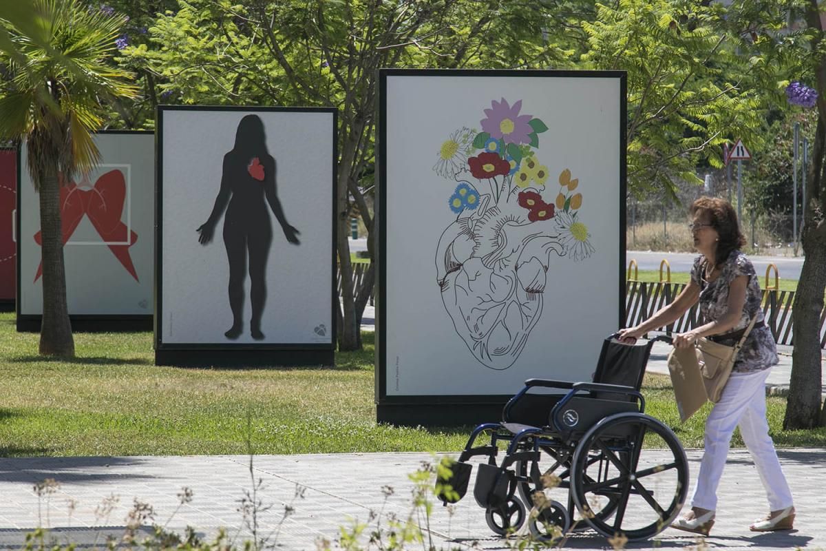 Fotogalería / Los Compadres, lectura y mucho arte en la cuarta jornada de la semana del donante.