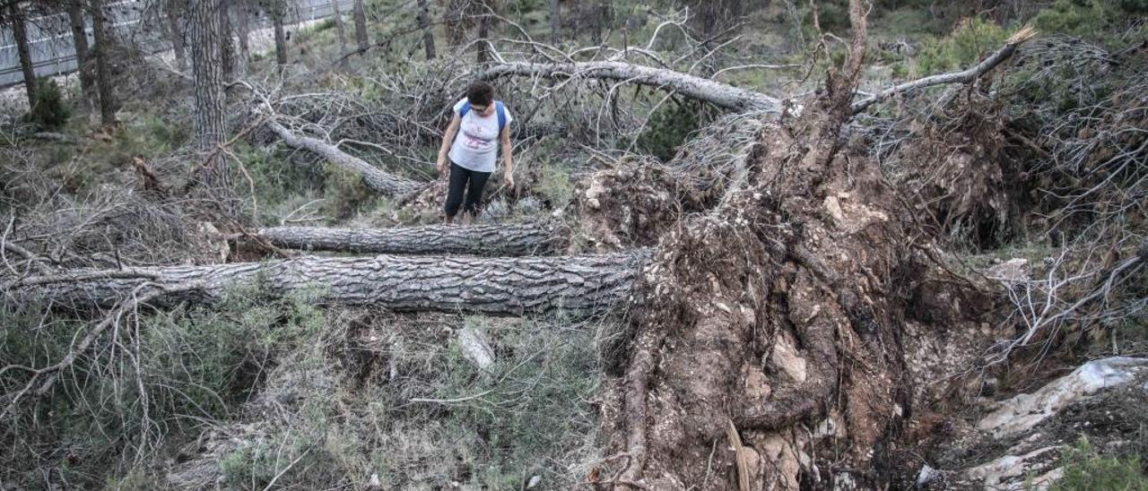 El Consell usará drones contra los incendios este verano