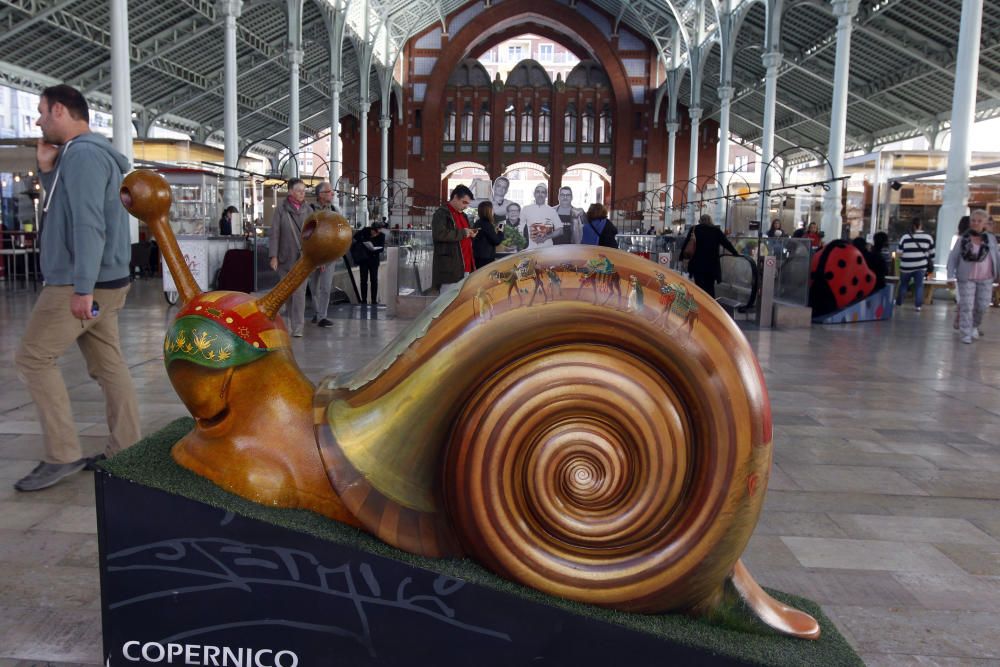 Exposición de caracoles gigantes en el mercado de Colón