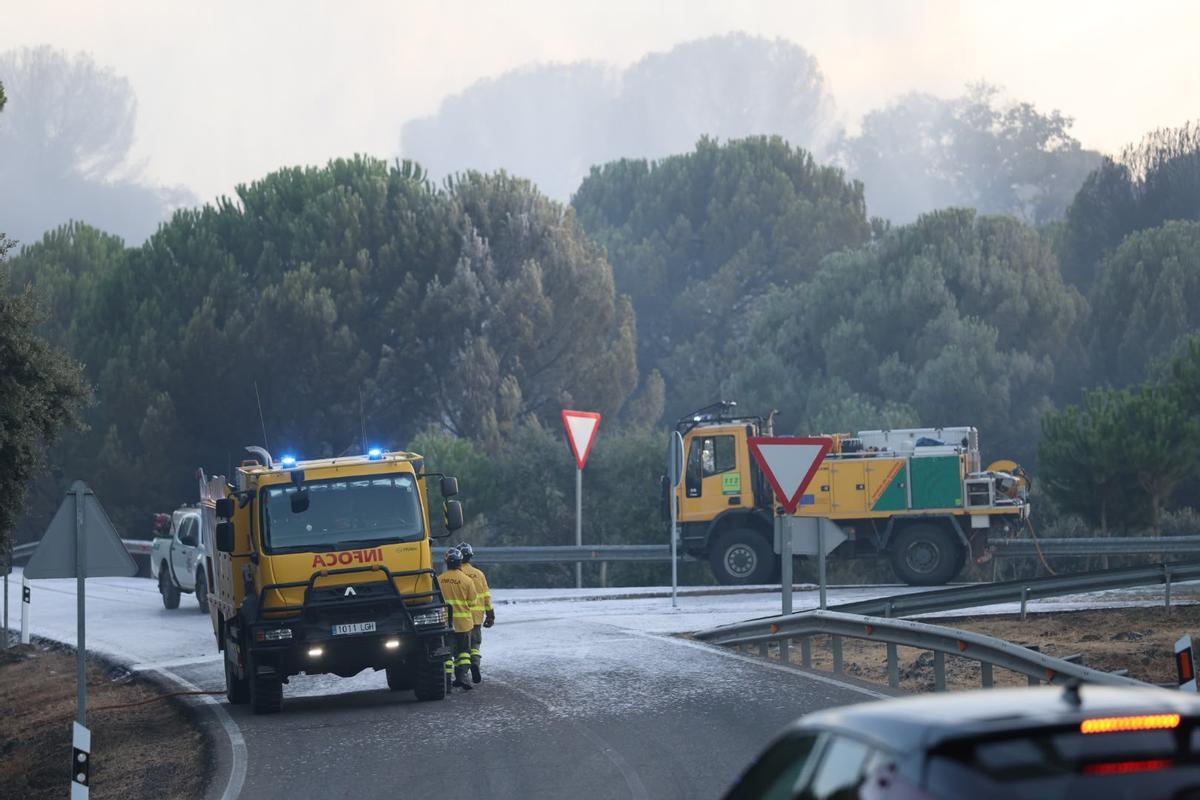 Nuevo incendio forestal en Cerro Muriano, en imágenes