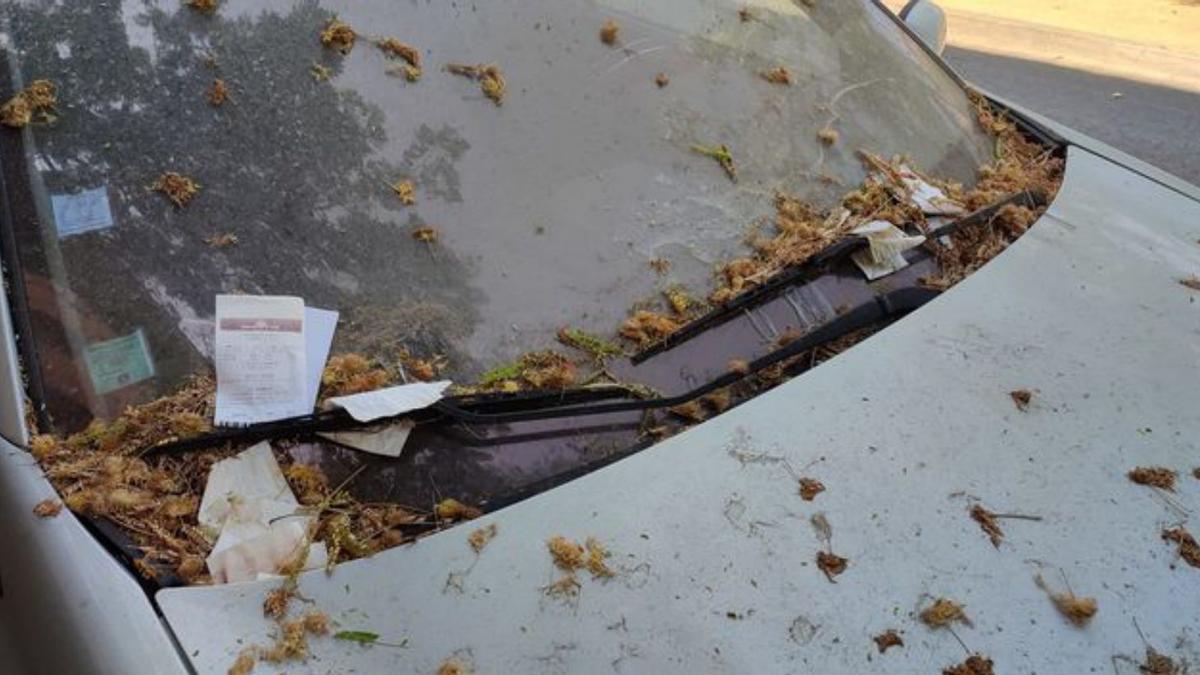 Multes a un vehicle aparcat a la plaça Miquel de Palol. | TAPI CARRERAS