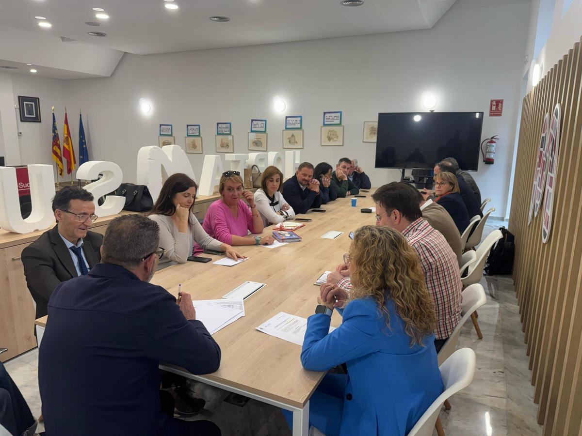 Pleno del Mancomunitat de l'Horta Sud.
