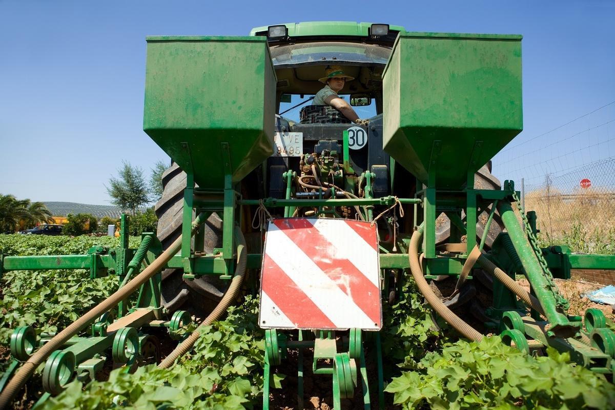 Trabajos de recolección con maquinaria agrícola en una finca.