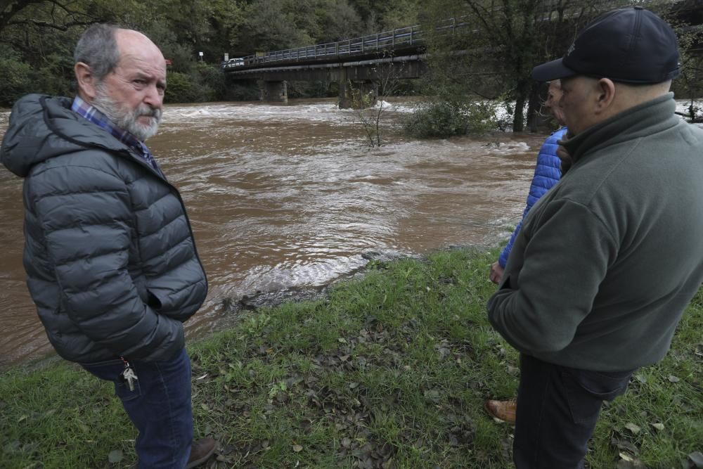 El río Nalón desbordado a su paso por Pravia y Quinzanas