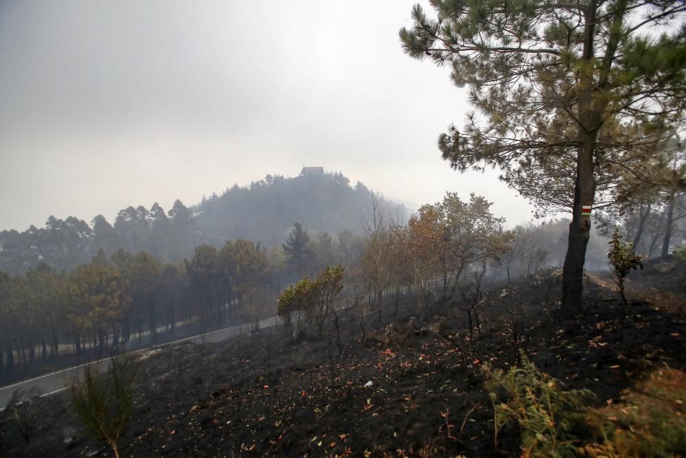 Incendios en Galicia | Vigo, cercado por el fuego