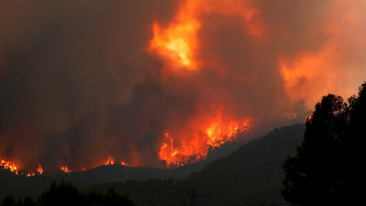 Vista del incendio originado en Santa Coloma de Queralt este sábado.