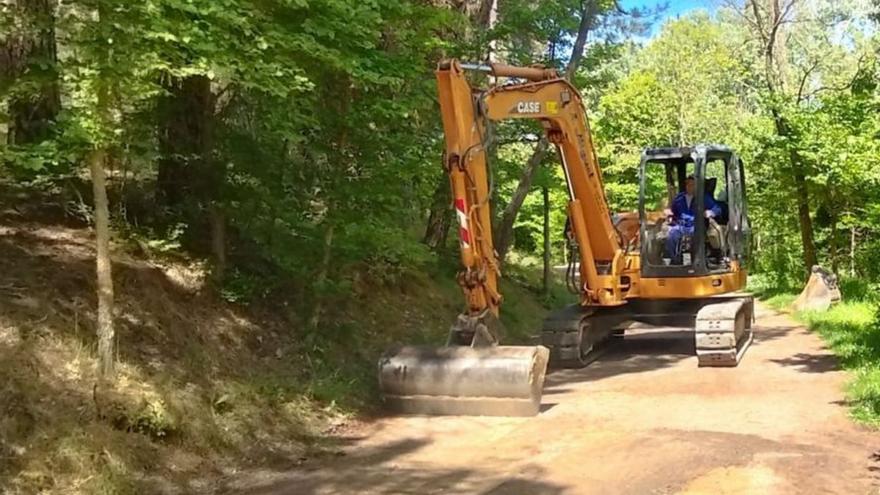 Arranca la reparación de caminos y la saca de madera en el bosque de Valorio de Zamora